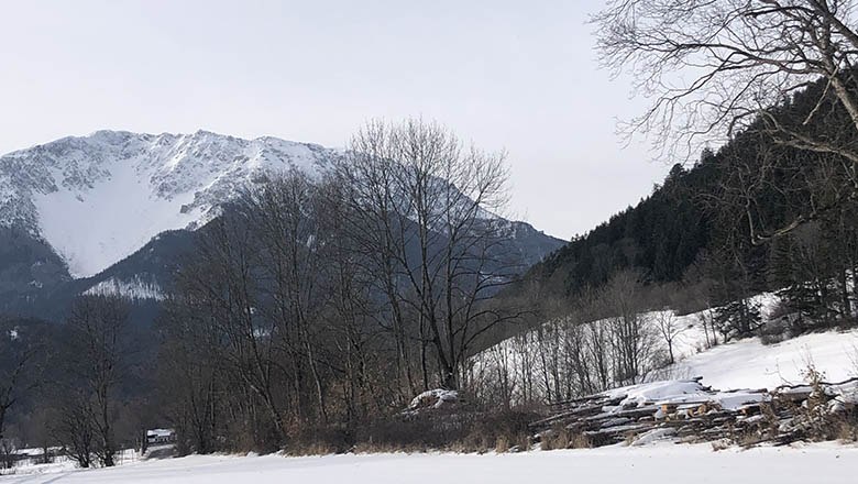Snow-covered landscape with mountains and trees in winter.
