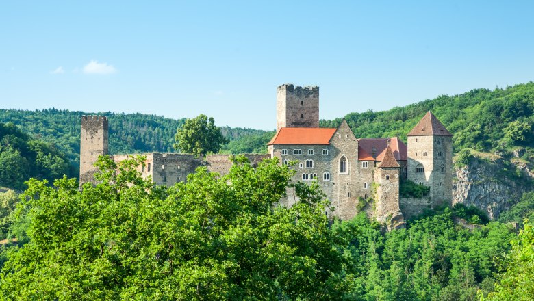 A medieval castle on a wooded hill under a clear sky.