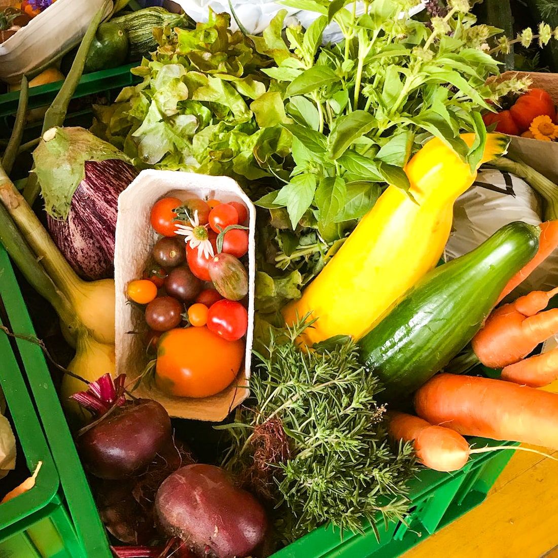 Green box with fresh herbs and vegetables such as tomatoes, cucumbers and zucchinis.