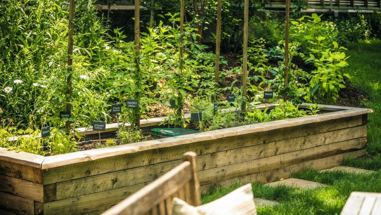 Raised bed with tomato plants next to wooden garden table