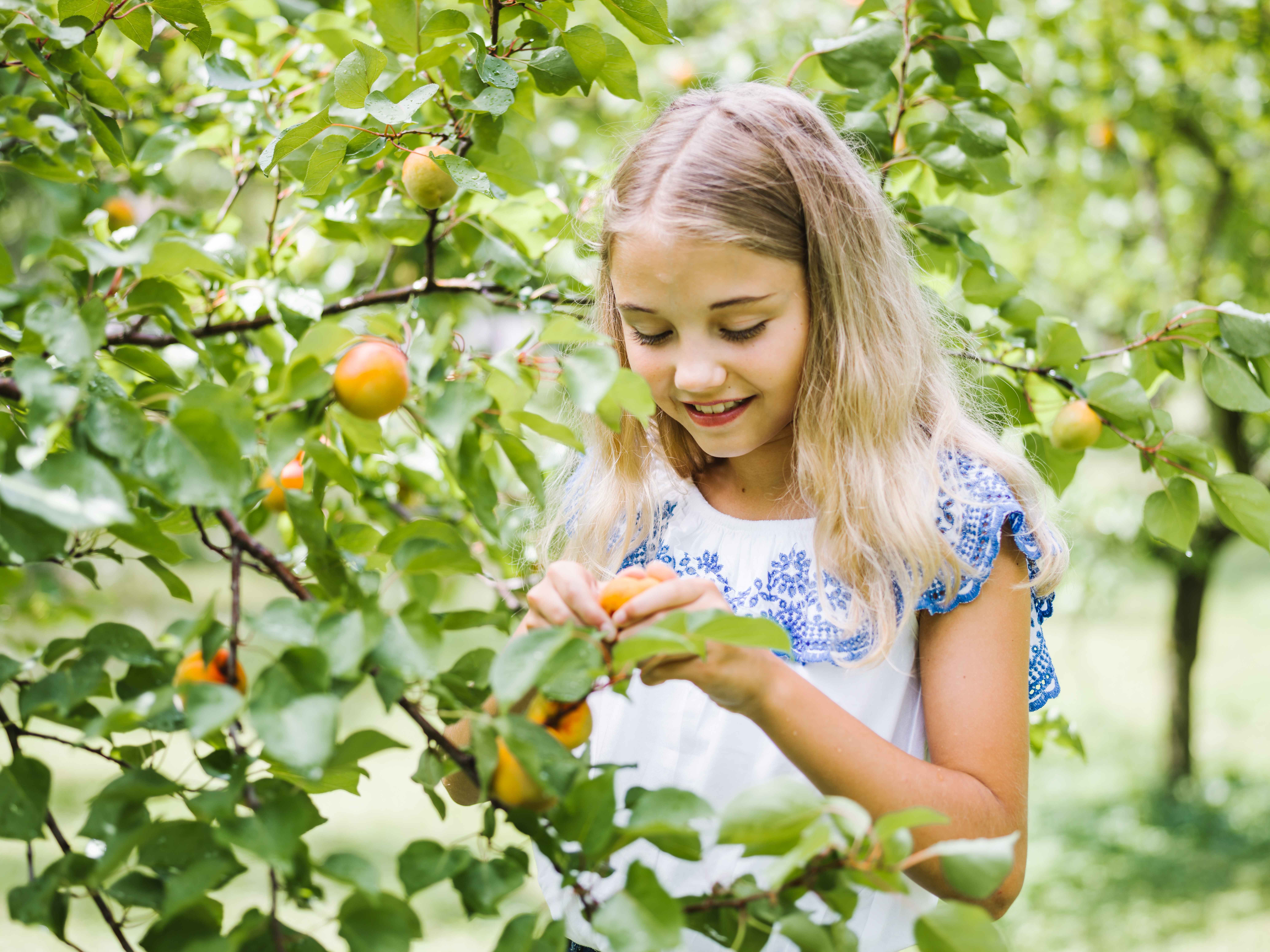 Girl by the apricot tree