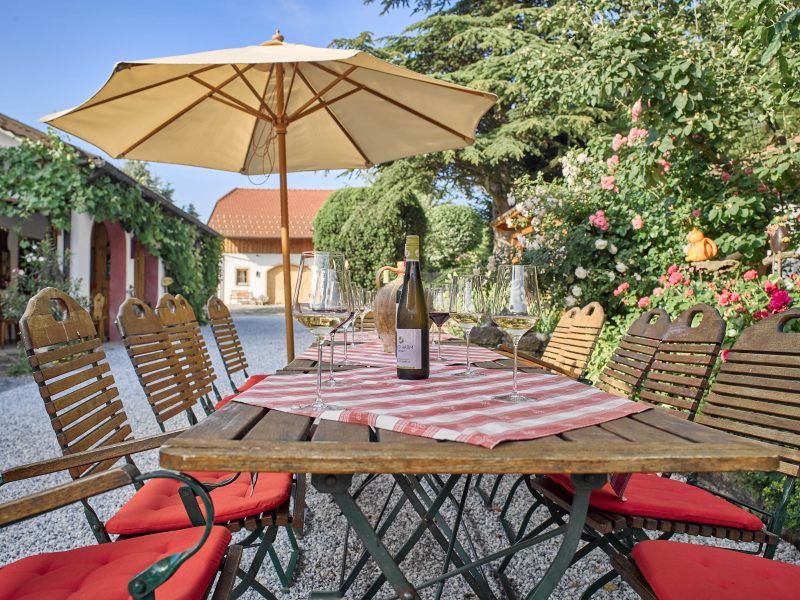 A table in the courtyard with a bottle of wine and glasses, surrounded by plants and a parasol.