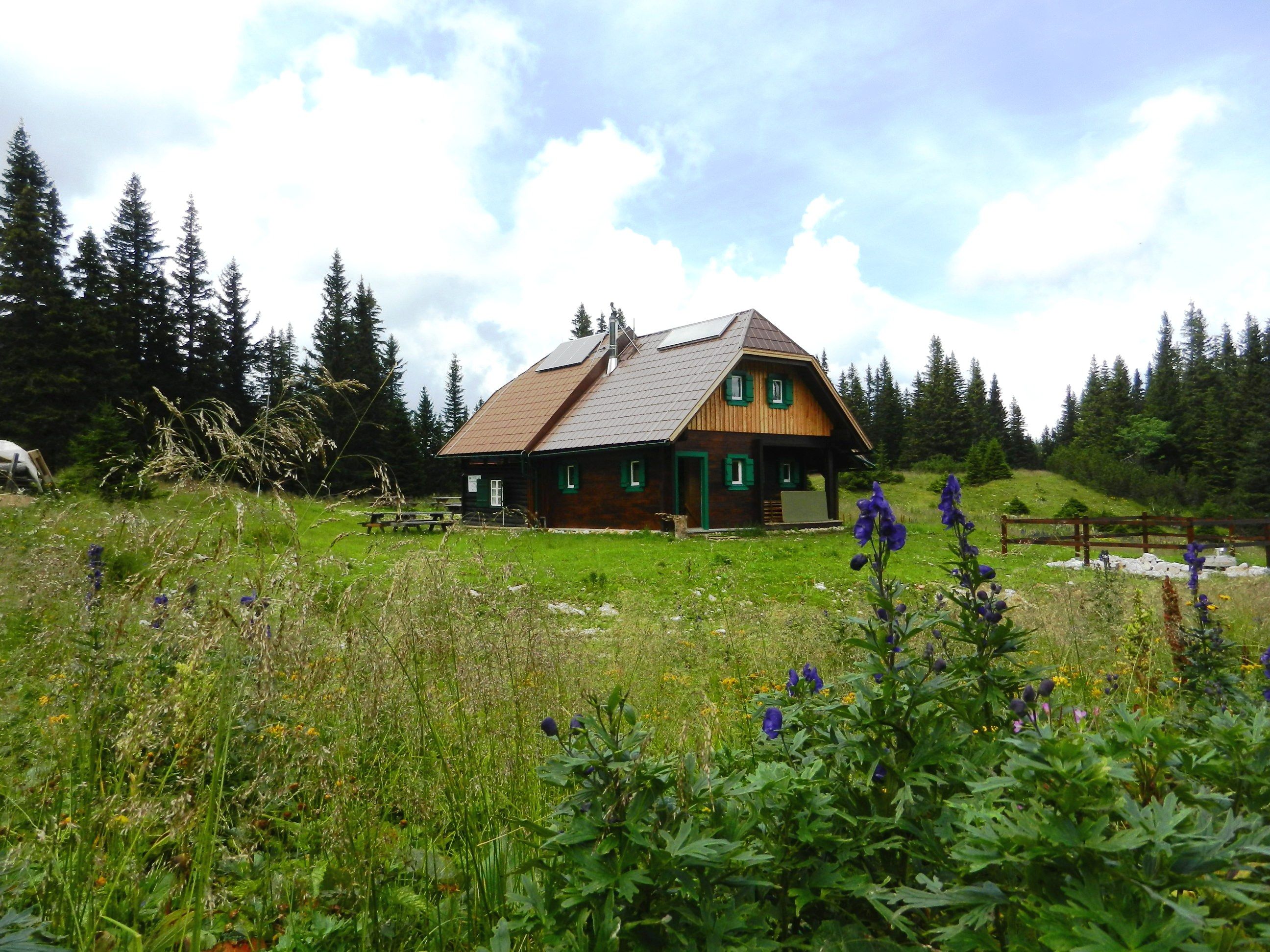 A wooden hut in a green meadow with flowers and trees in the background.