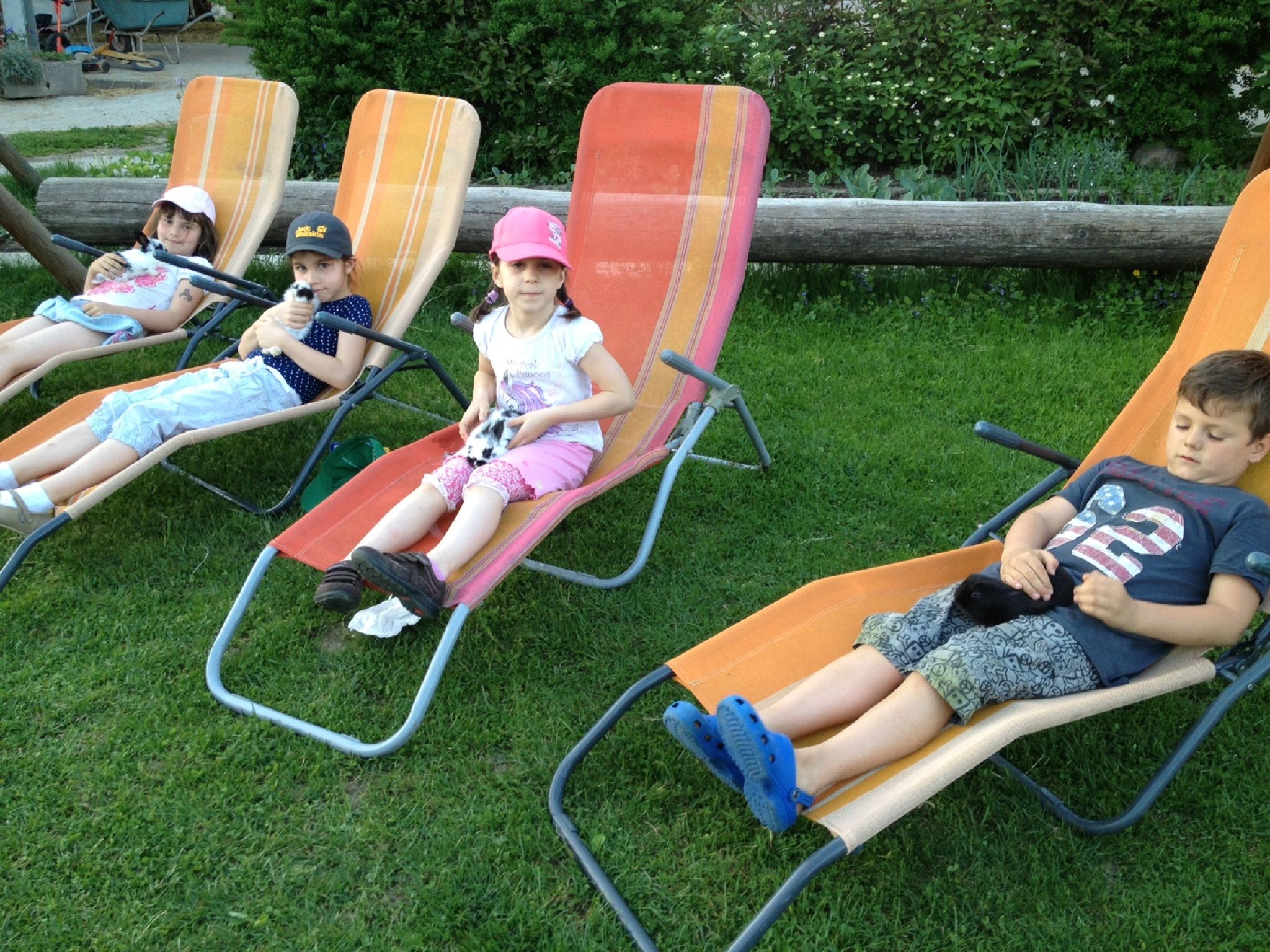 Four children are lying on deckchairs in the garden holding small animals.