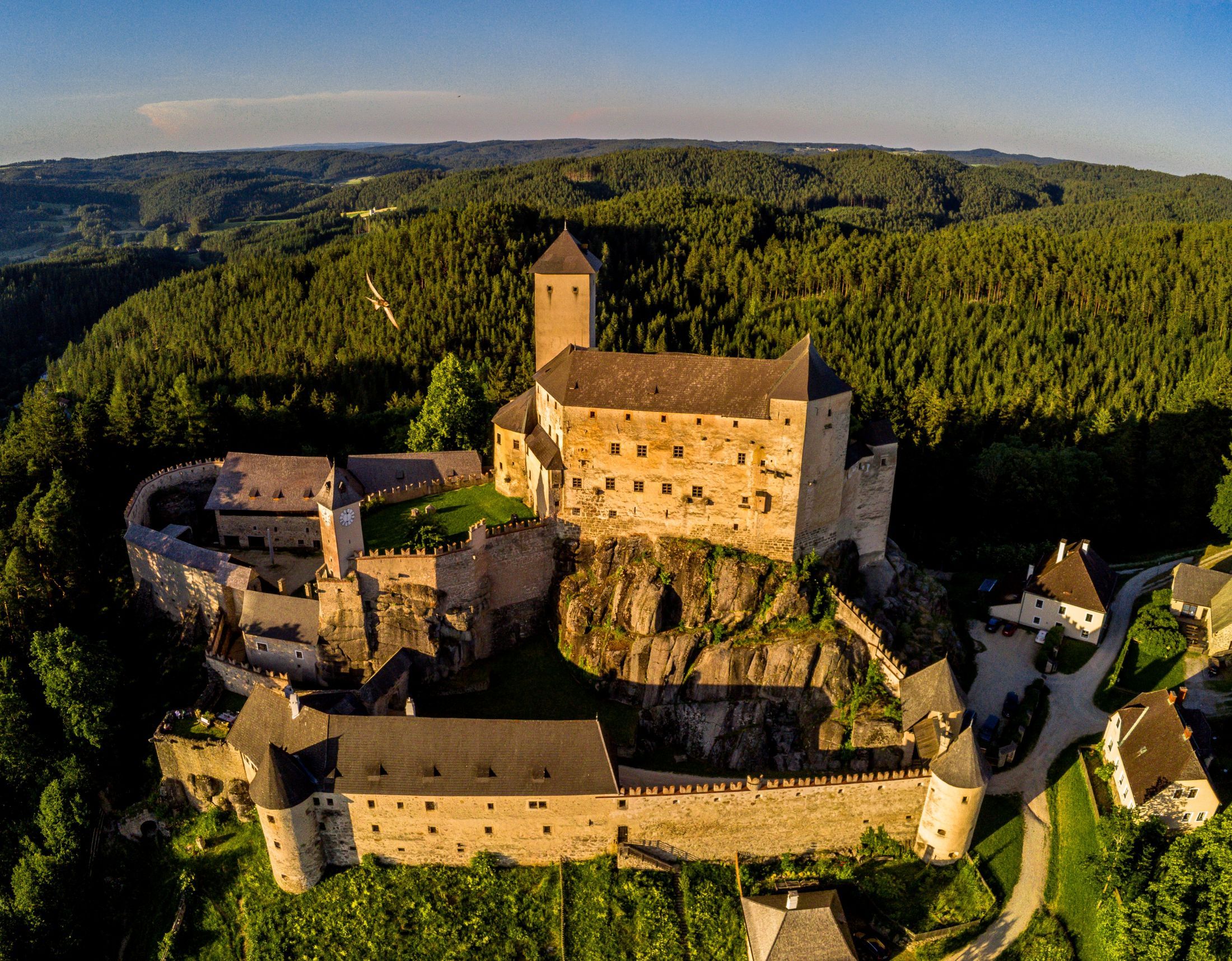 Aerial view of Rappottenstein Castle surrounded by forest.
