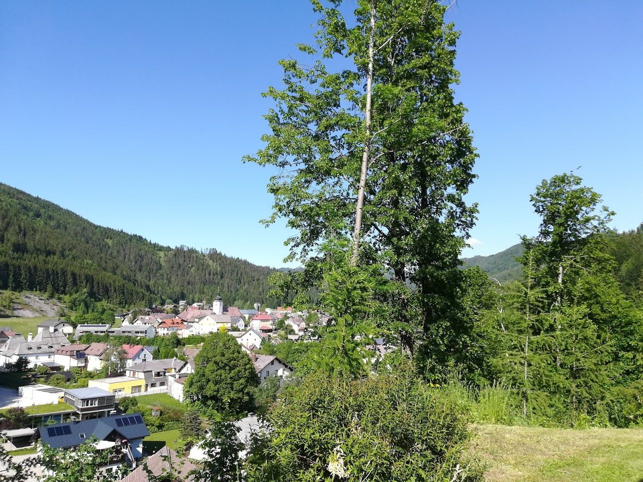 View from the house