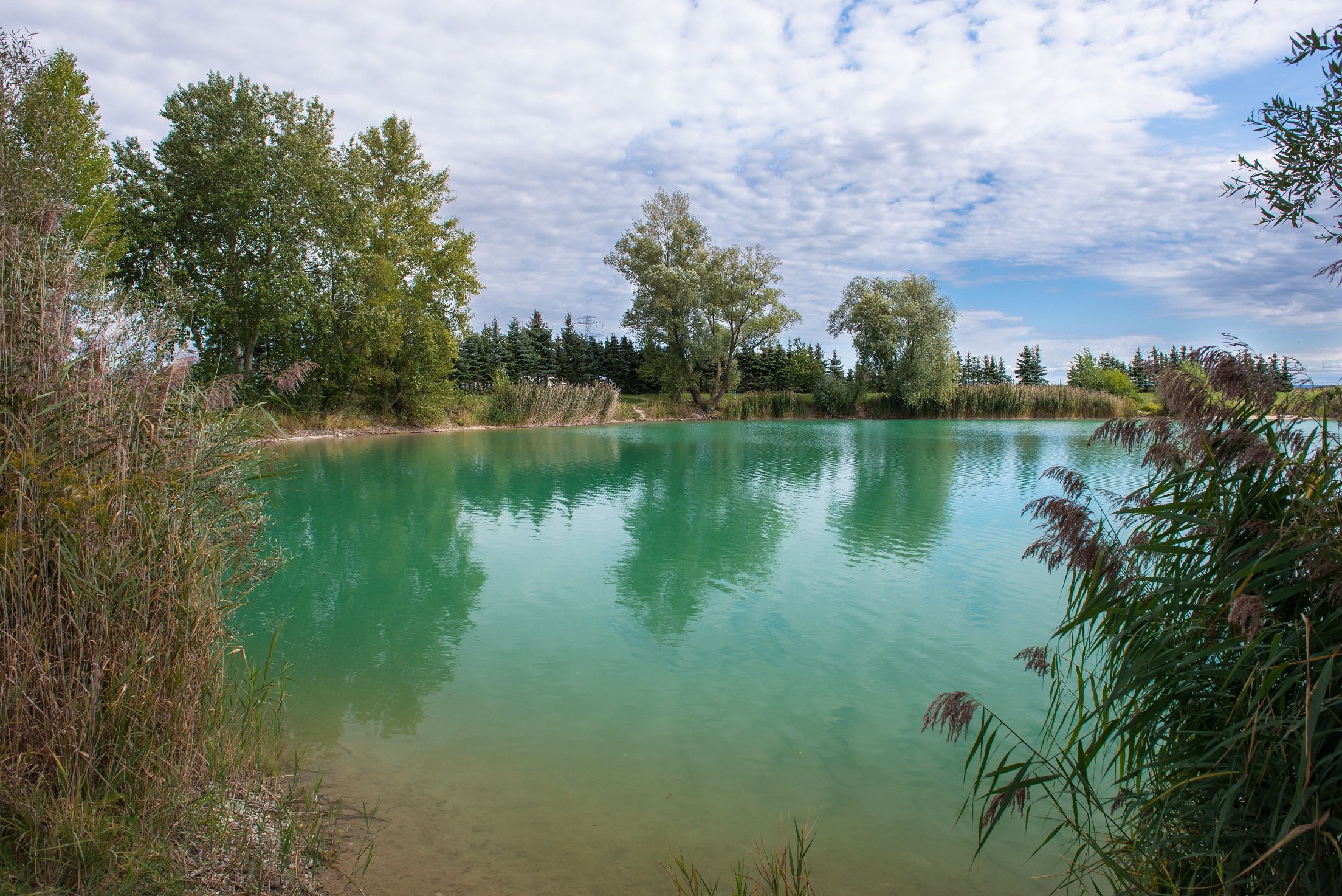 A calm lake with clear, turquoise water, surrounded by trees and reeds under a cloudy sky.