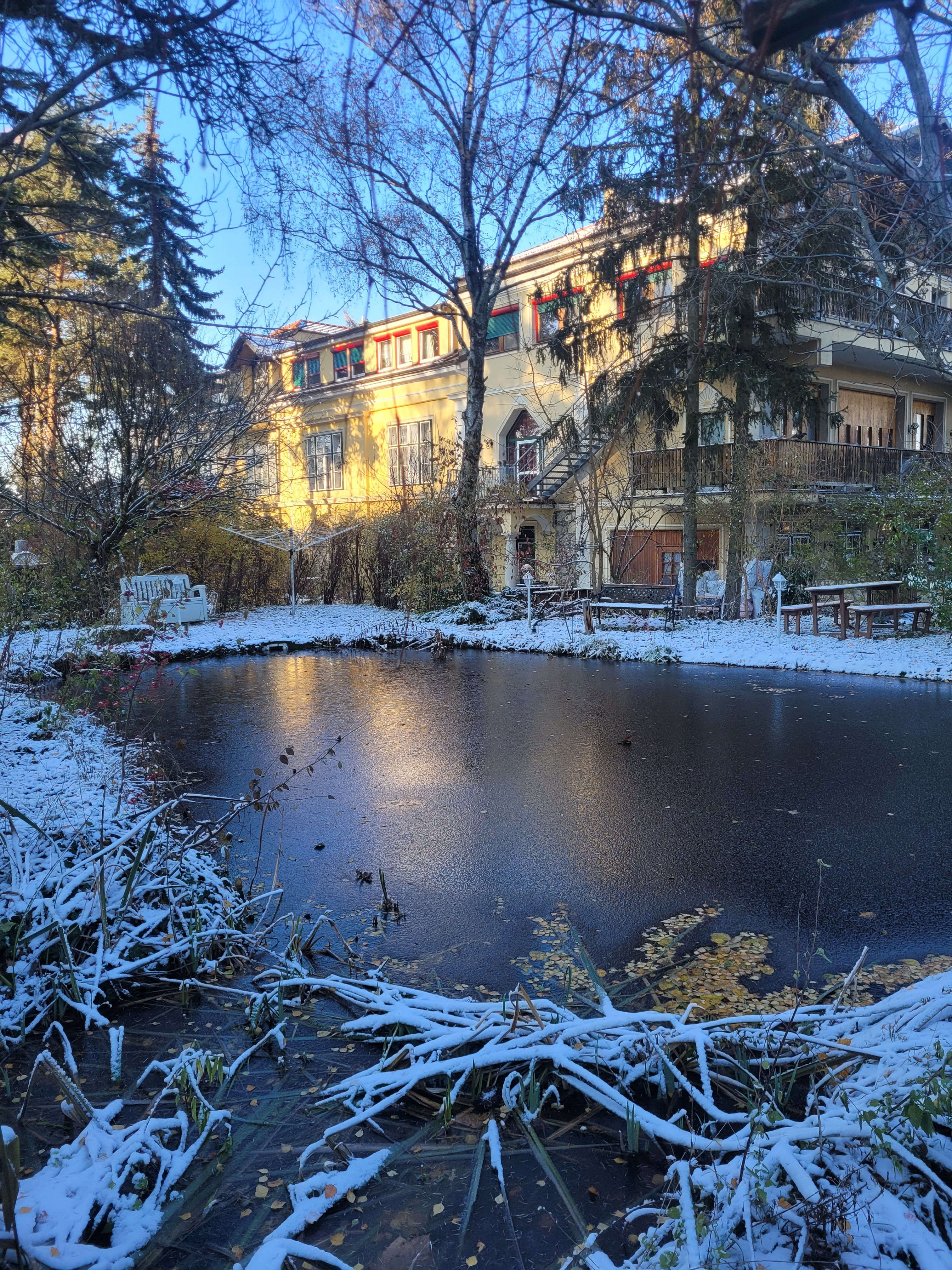  Pannonica, Wolfsthal, garden pond in winter, ice and snow