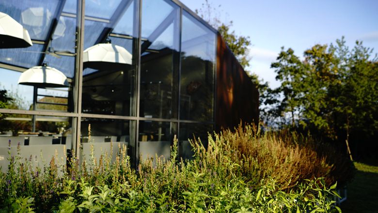 Modern orangery with glass walls and plants in the foreground.