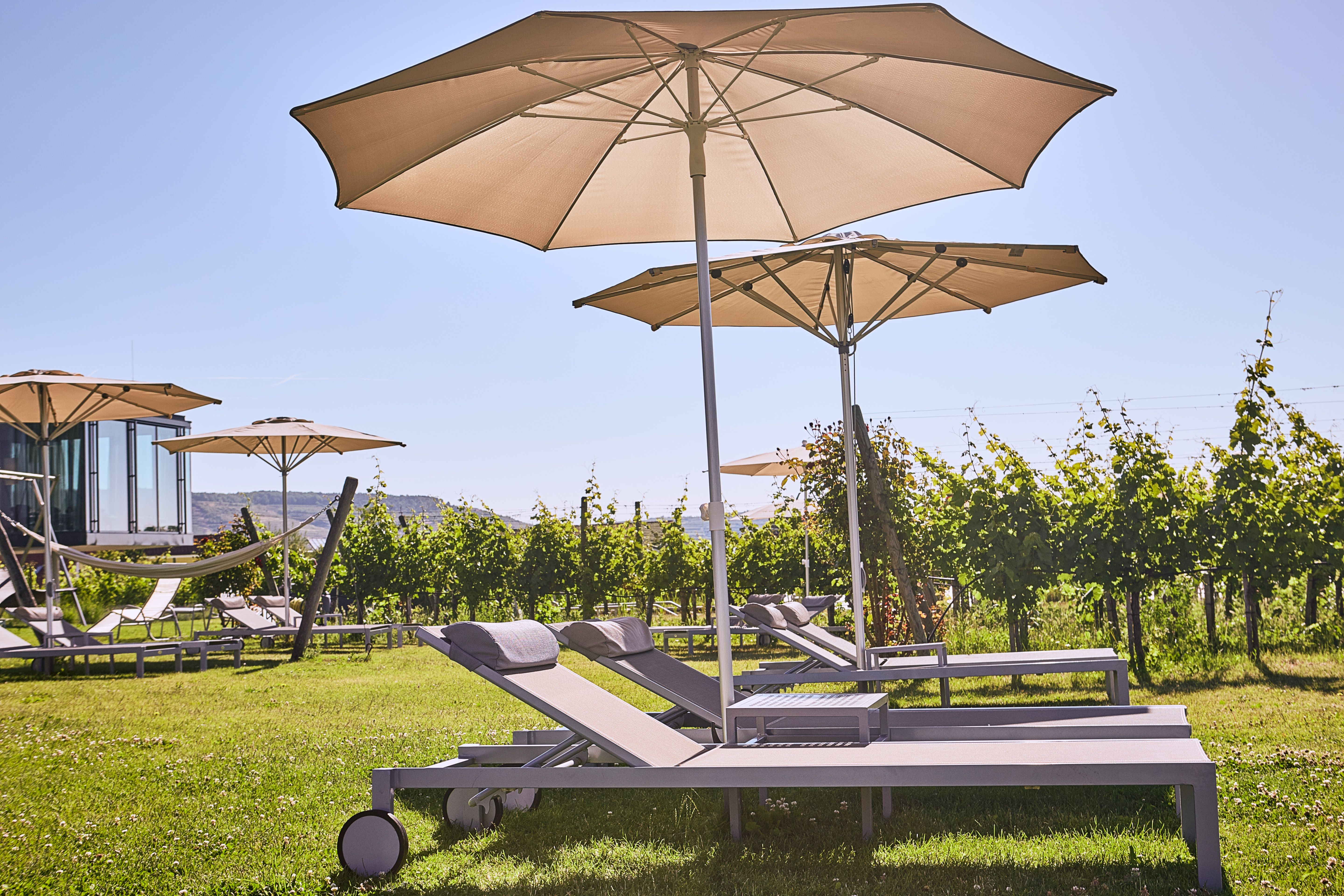 Modern building with pool and terrace in the foreground.