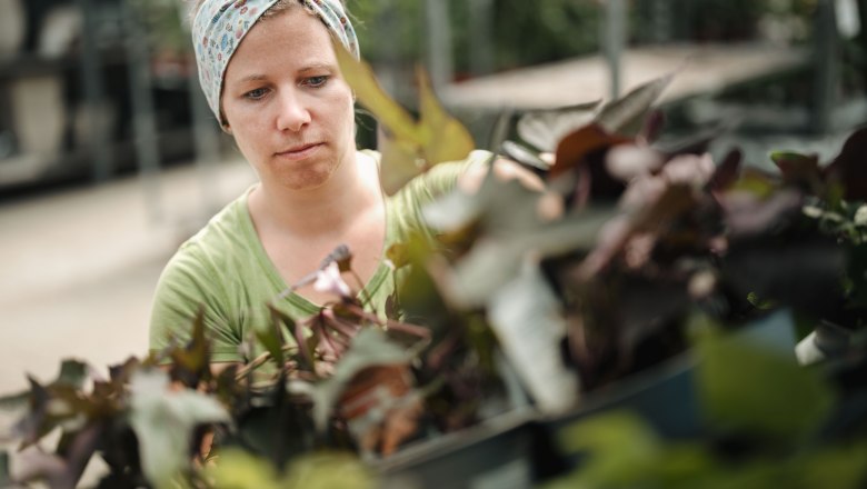 Starkl adventure garden, © Moststraße, dochbodnliacht