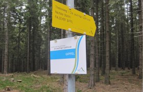 Summit on the Jauerling, © Naturpark Jauerling/Birgit Habermann