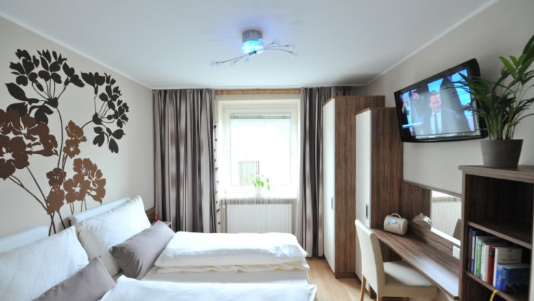 A modern bedroom with double bed, wall decoration, desk, TV and plants.