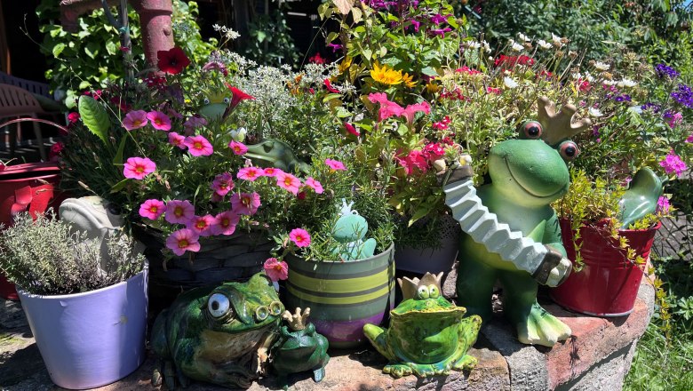 Garden with colorful flowers and frog figures.