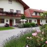Exterior view of a house with flowers and garden.