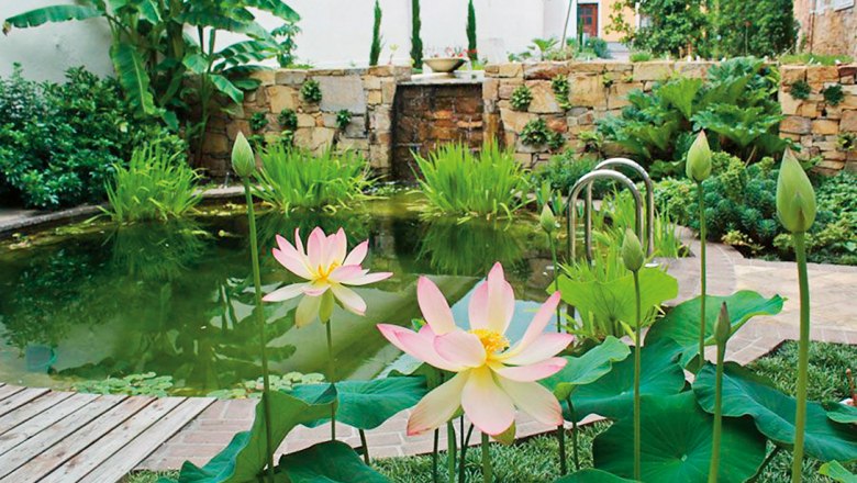 An idyllic garden with a pond, water lilies and lush vegetation.