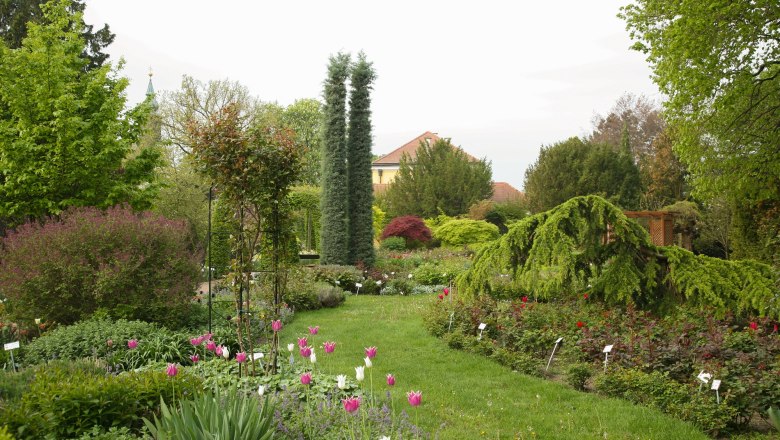 A well-tended garden with colorful flowers, trees and shrubs, in the background a building with a red roof.