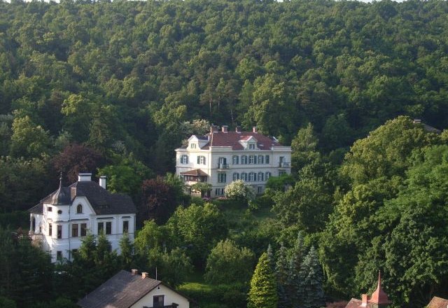 Large manor house surrounded by lush forest in Gars.