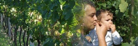 A man and a child are standing in a vineyard eating grapes.