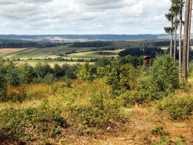 Naturpark Dobersberg, Natur, Landschaft, &copy; Waldviertel Tourismus, weinfranz