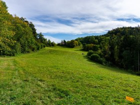 Traunfellnerweg, &copy; Unknown