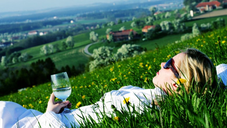 Person lying in a meadow with a glass in his hand, a hilly landscape in the background.