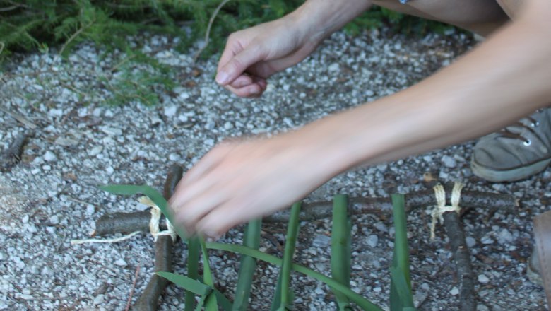 Forest creative., © Elisabeth Winkler