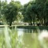 A quiet pond with trees and a bridge in the background.