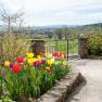 A colorful garden with tulips and a view of a rural landscape.