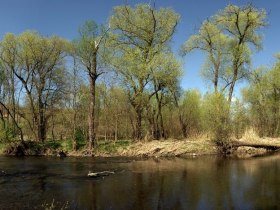 Flusslehrpfad, &copy; Fotocredit: Weinlehrpfad F. Gangelmayer