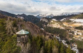 Observation tower in the forest with mountain landscape in the background.