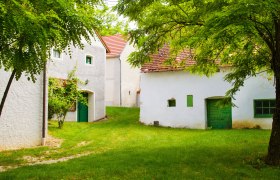 Traditional wine cellars in Großkrut, surrounded by green nature.