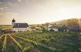 A loyal companion in the Thermenregion: the wine of Thallern, © Andreas Hofer