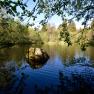 Private forest pond, © SSz