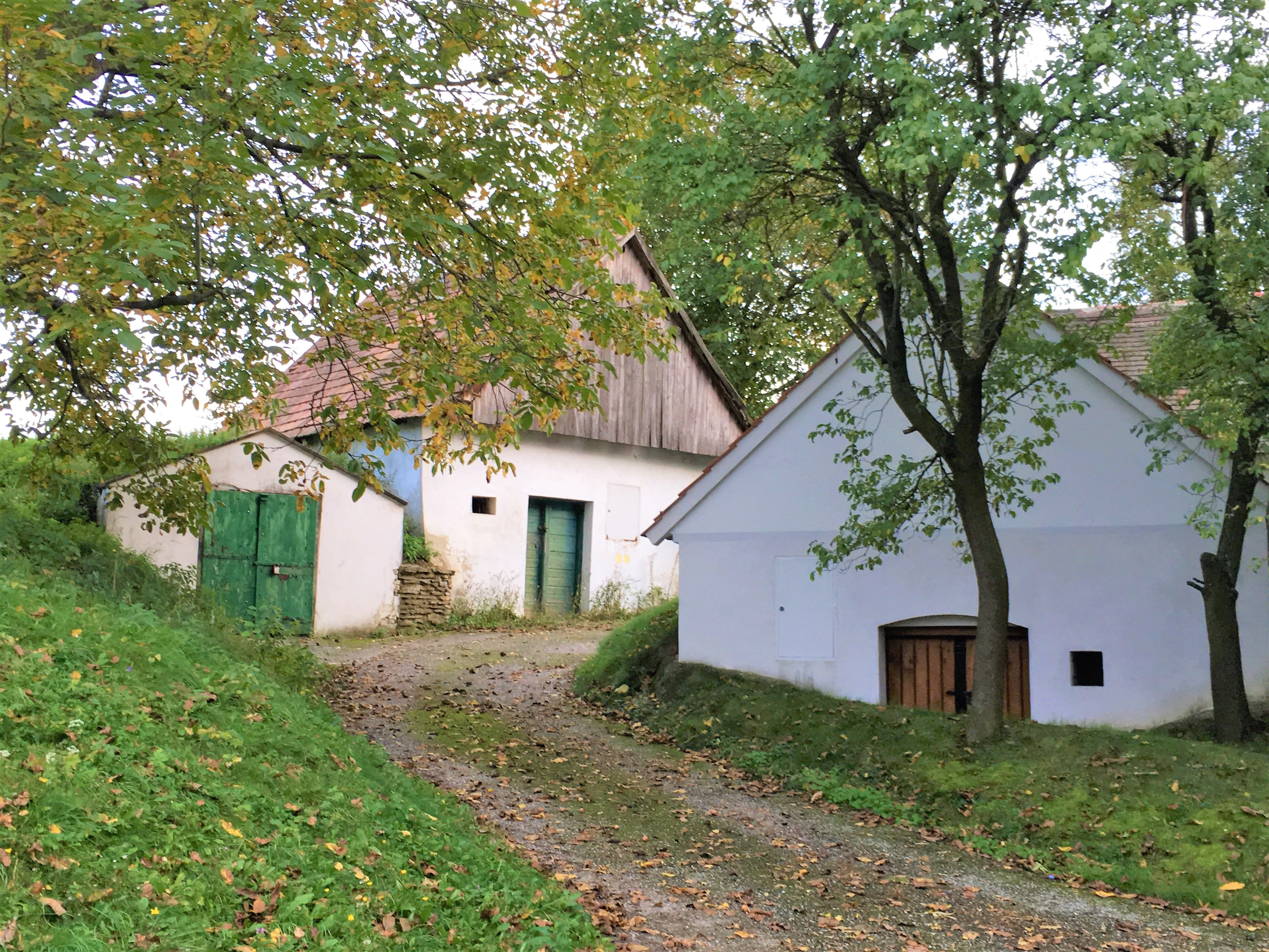 Ameis wine cellar lane with white buildings and green doors, surrounded by trees and grass.