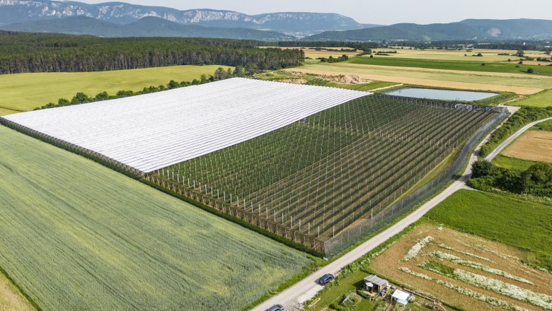 Aerial view of orchards with protective nets and surrounding fields.