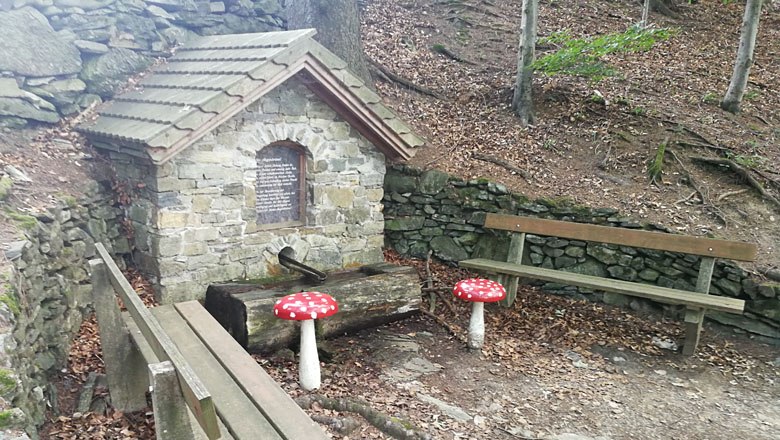 Stone fountain in the forest with two benches and mushroom decorations.