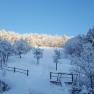 Snow-covered landscape with trees and meadow under a blue sky.