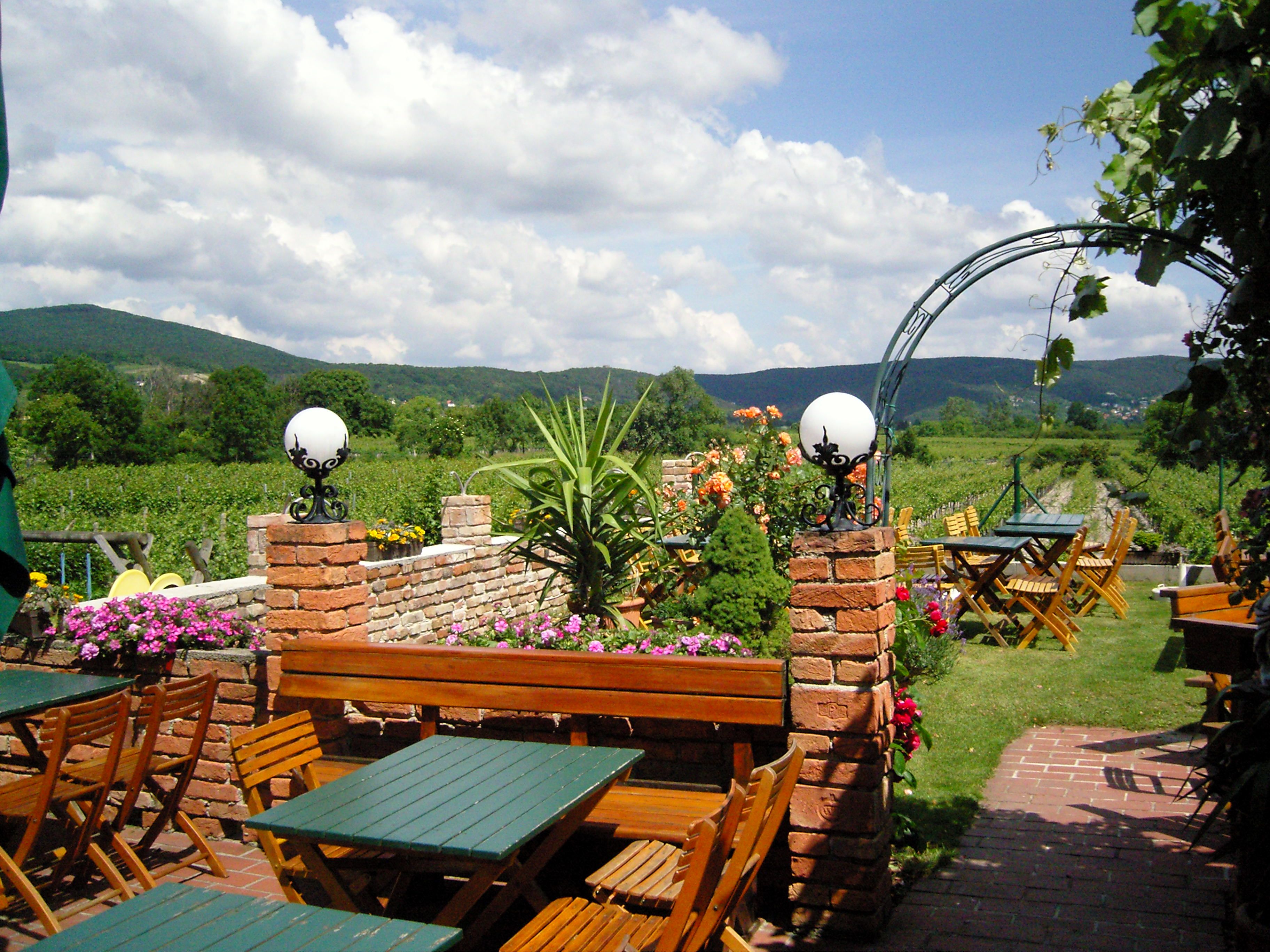 Enjoy the Heurigen garden