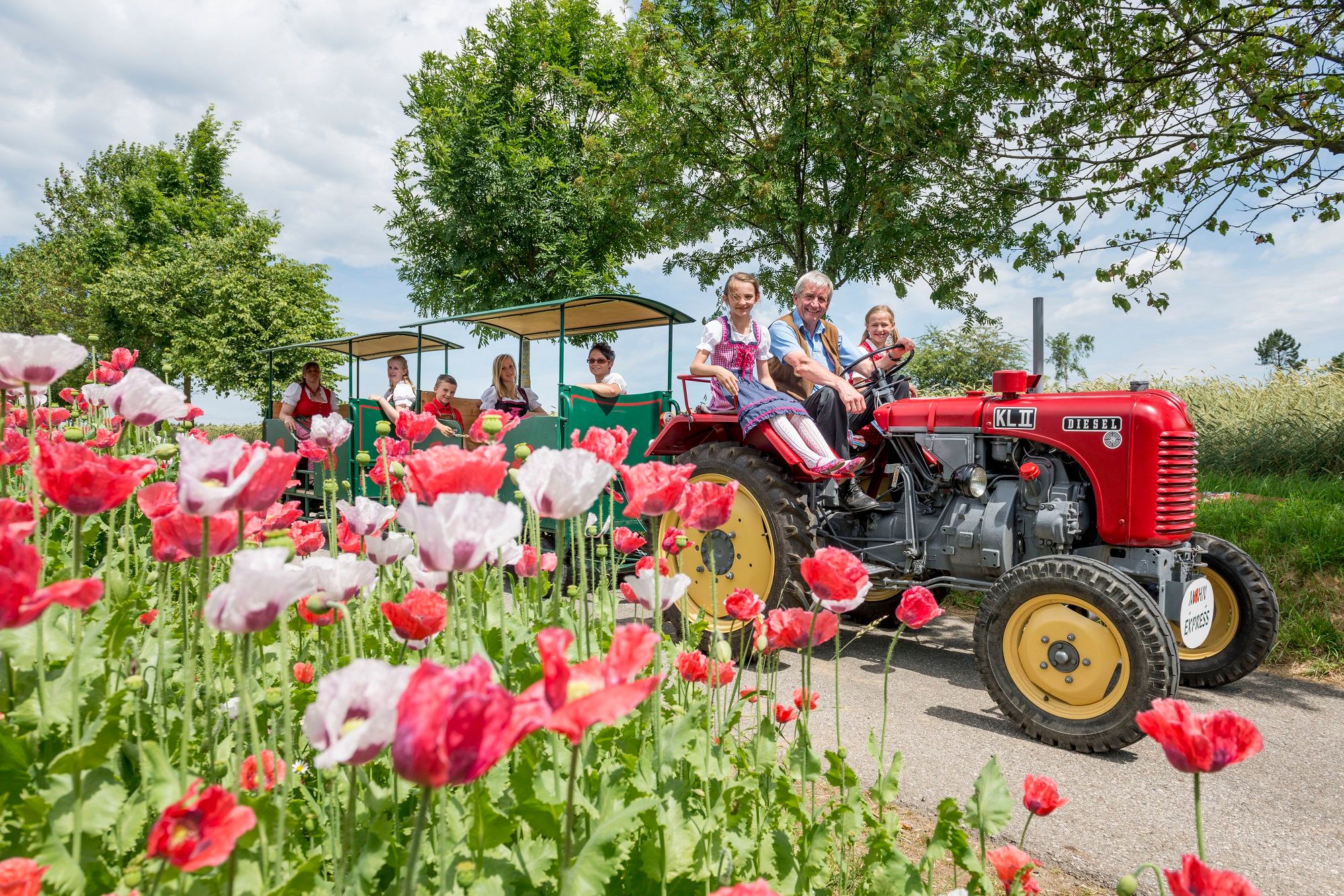 A red tractor pulls a trailer full of people through a poppy field in the poppy village of Armschlag.