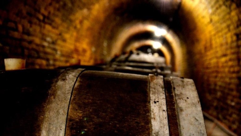 A wine cellar with wooden barrels and brick walls.
