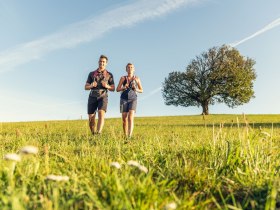 Beethoven Spazierweg, &copy; Wienerwald