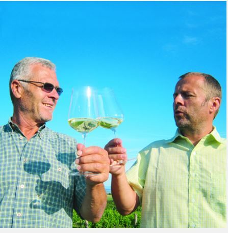Winery Gerhold
