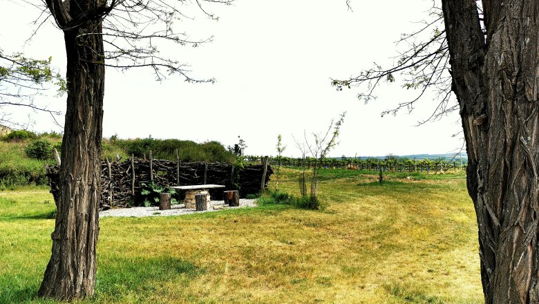 Landscape with trees, wooden table and benches, surrounded by meadows and vines.