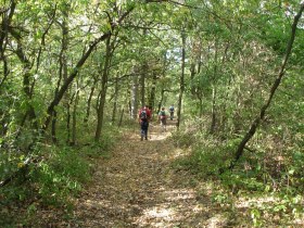 Wandern rund um Pulkau, &copy; Fotoclub Pulkau