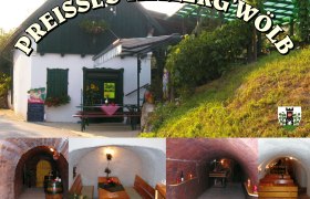 Exterior view and interior of Preissl's Kellerg'w&ouml;lb.