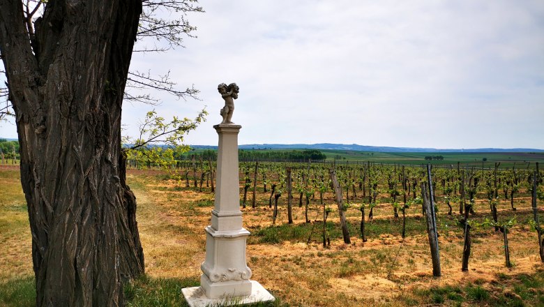 Vineyard with tree and stone column in the foreground.