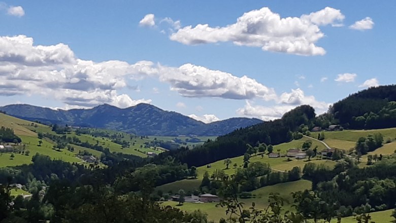 Vacation at the Nussbaumerhof, &copy; Strei&szlig;lberger Josef und Monika