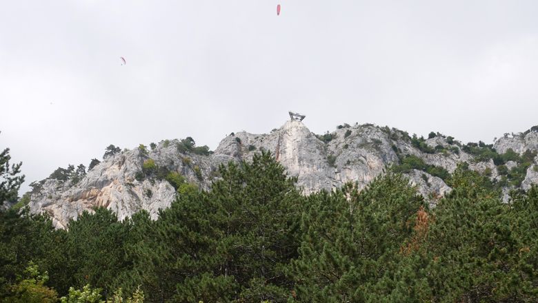 View of a skywalk on a rocky mountain with trees in the foreground.