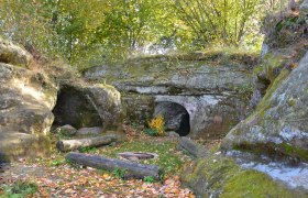 Entrance to a cave in a wooded area with leaves on the ground.